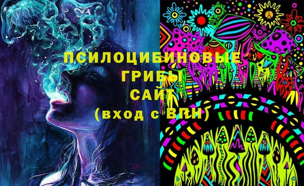 трава Беломорск