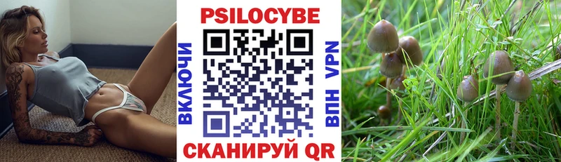 купить наркотик  Щёкино  Псилоцибиновые грибы MAGIC MUSHROOMS 